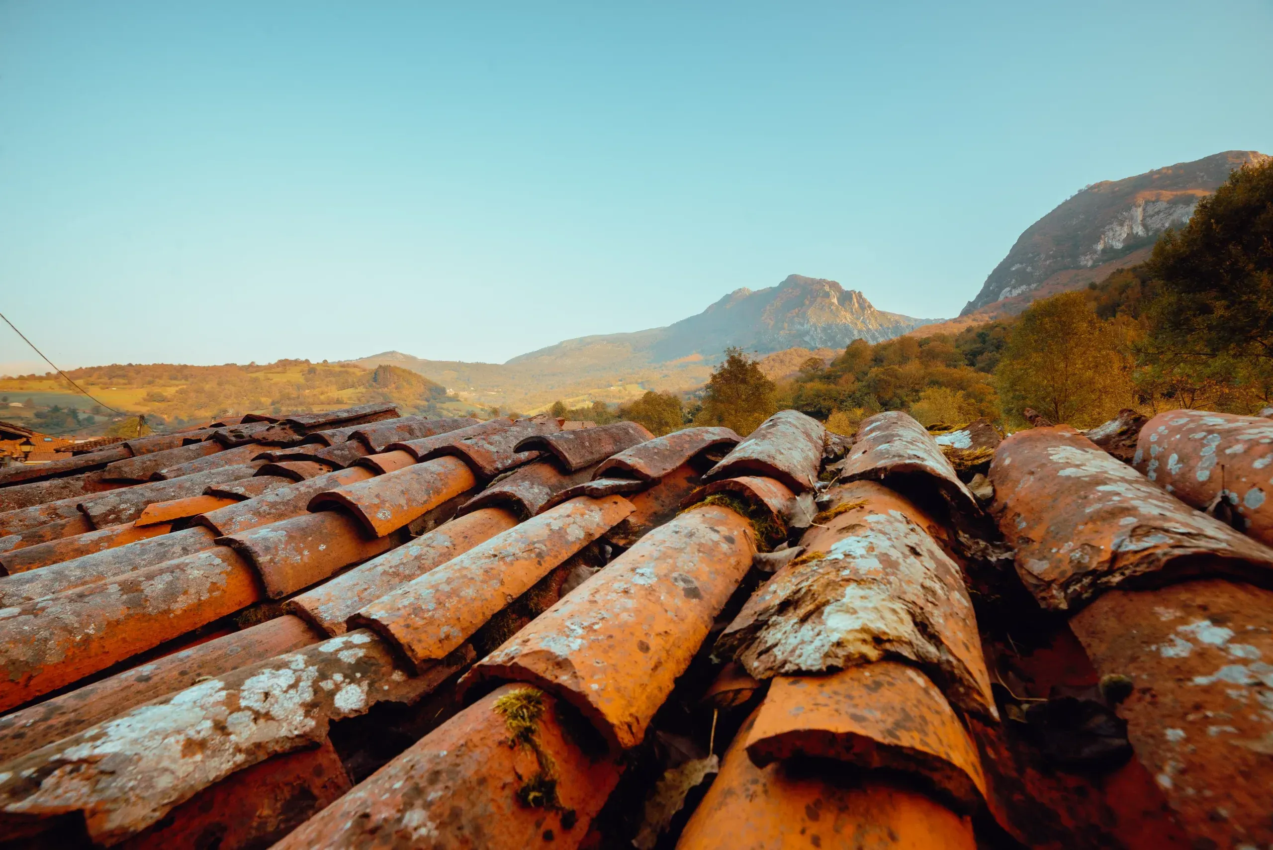entretien-glc-mur-et-toiture (2)
